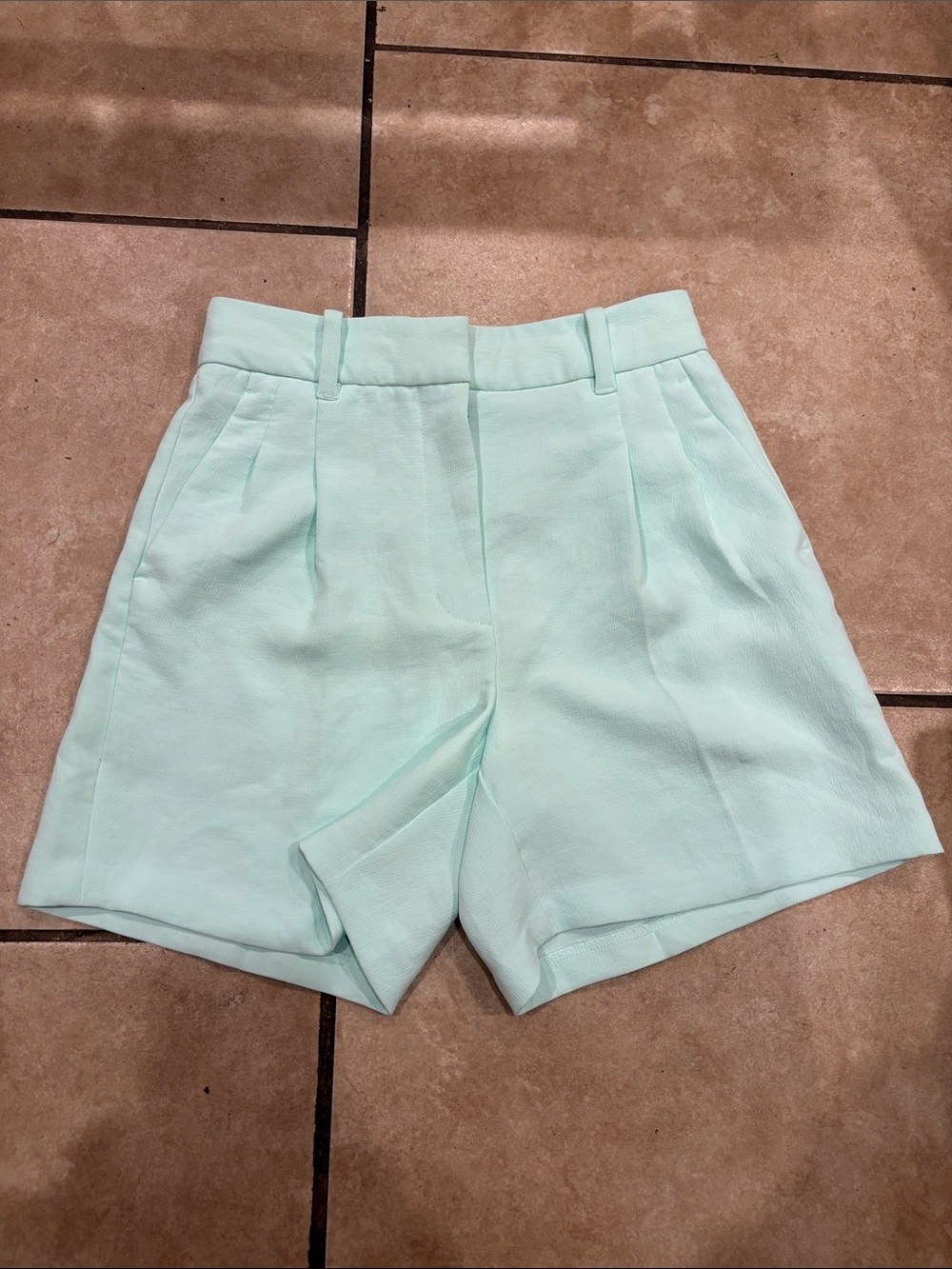 Aritzia Wilfred Light Blue Teal High Waisted Effortless Crepette Shorts